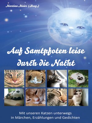 cover image of Auf Samtpfoten leise durch die Nacht